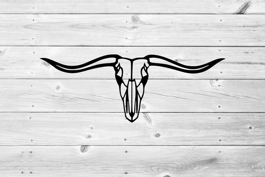 Longhorn Skull